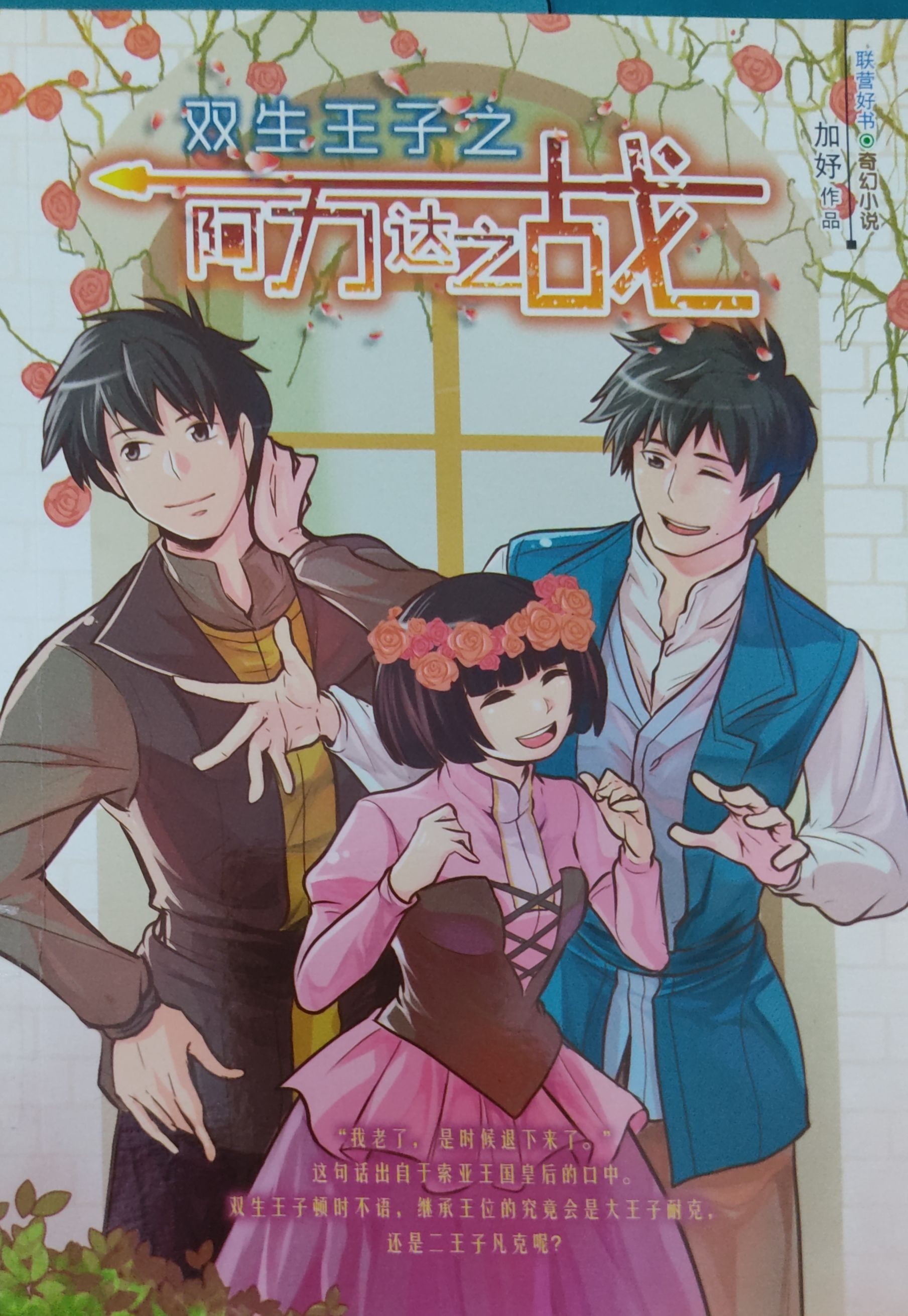 双子王子之阿力达之战